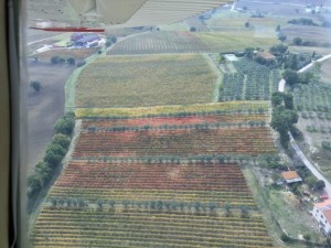 autunno